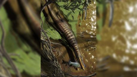 رسم توضيحي لـ Baryonyx walkeri ، سبينوصوريد من المملكة المتحدة ، يصطاد ويتغذى.