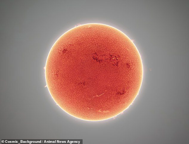 اختار المصور الفلكي الأمريكي ، أندرو مكارثي ، 30000 صورة لإنشاء صورة فسيفساء تلتقط الشمس بدقة عالية من فلورنسا ، أريزونا ، الولايات المتحدة الأمريكية