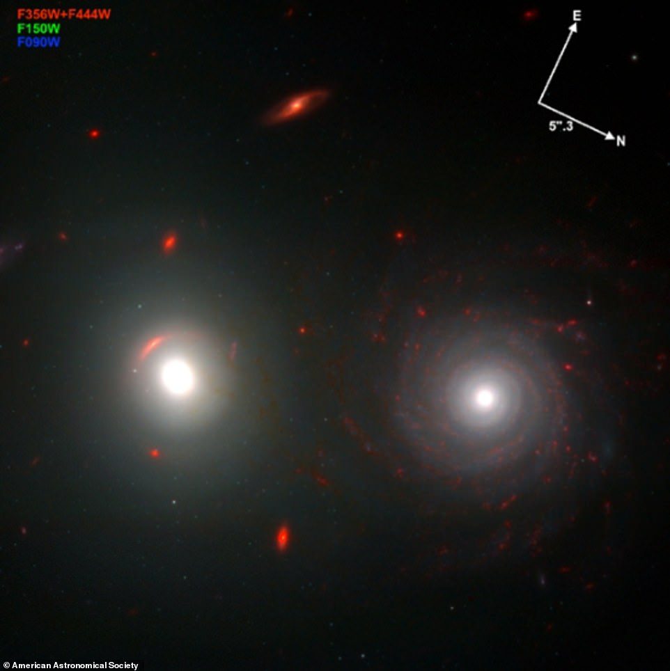 تُظهر الصورة أيضًا عناقيد كروية فردية حول مجرات إهليلجية بعيدة وعقد تشكل النجوم داخل المجرات الحلزونية (في الصورة)
